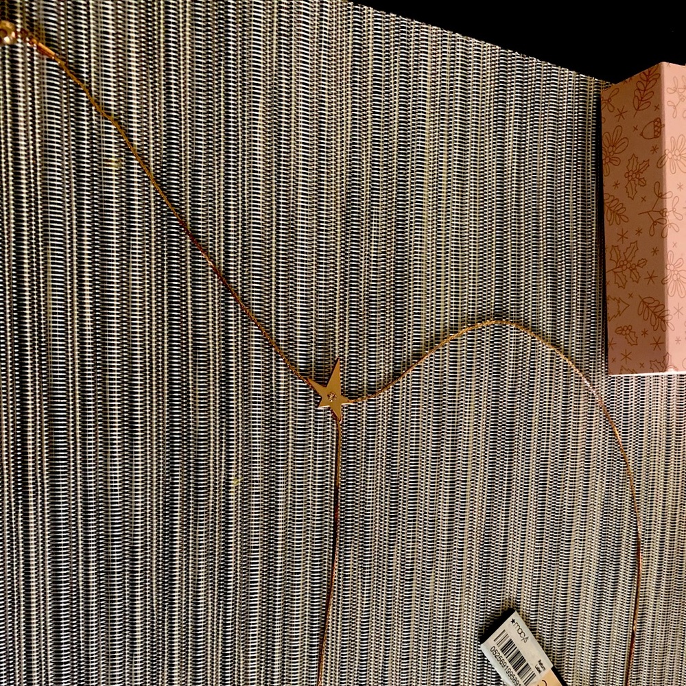 BCBG necklace